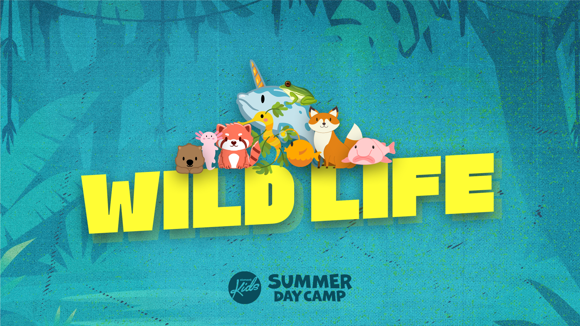 Kids Summer Camp 23 Comp
