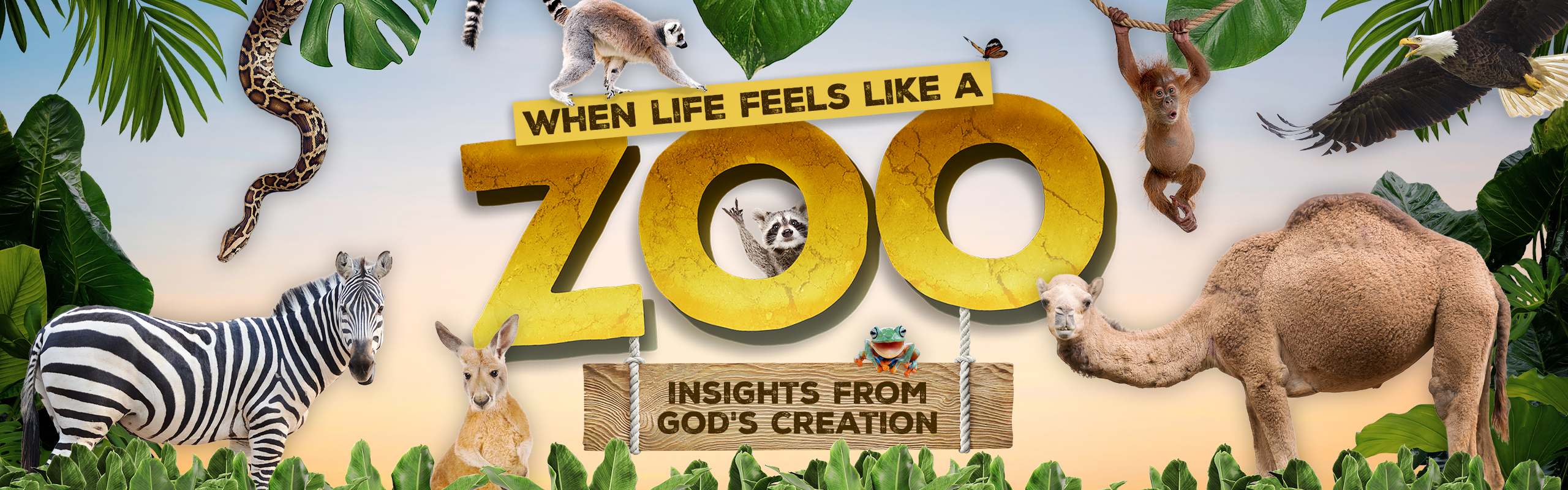 When Life Feels Like a Zoo Web Banner